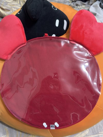 twice 彩瑛 彩不理扇套