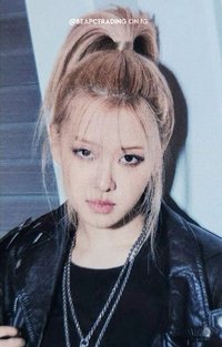 BORN PINK yg 抽選卡 中簽卡