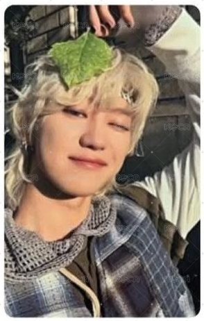 MINI11 蝦皮 特典卡 金髮八 正面