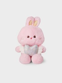 LINE FRIENDS快閃 大娃 bunini 語音娃娃