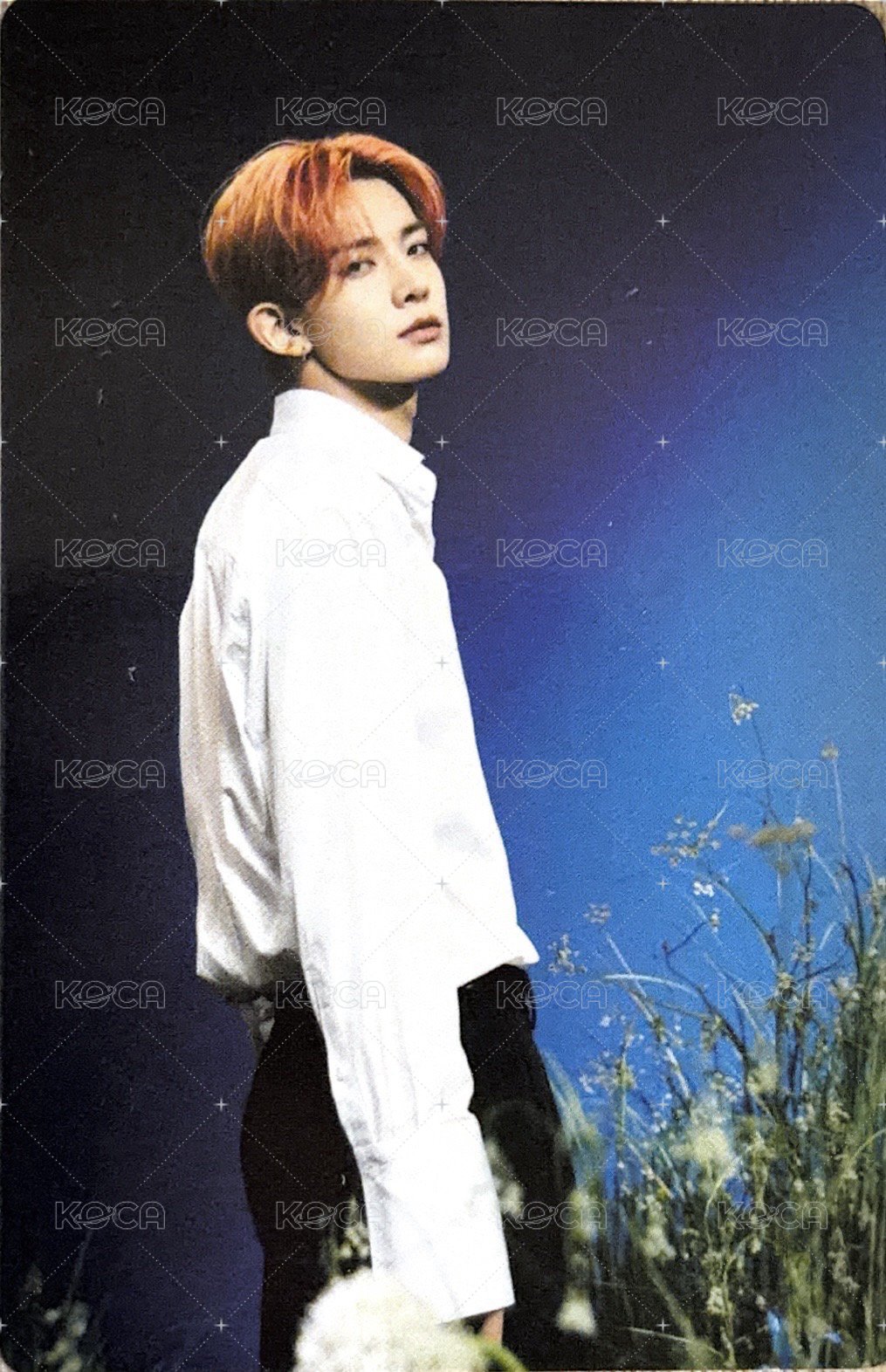 待編輯   隨機卡 WTL場週隨機卡包 官拍卡 03/08 正面