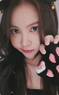 數單一 el 2.0 幸運卡 