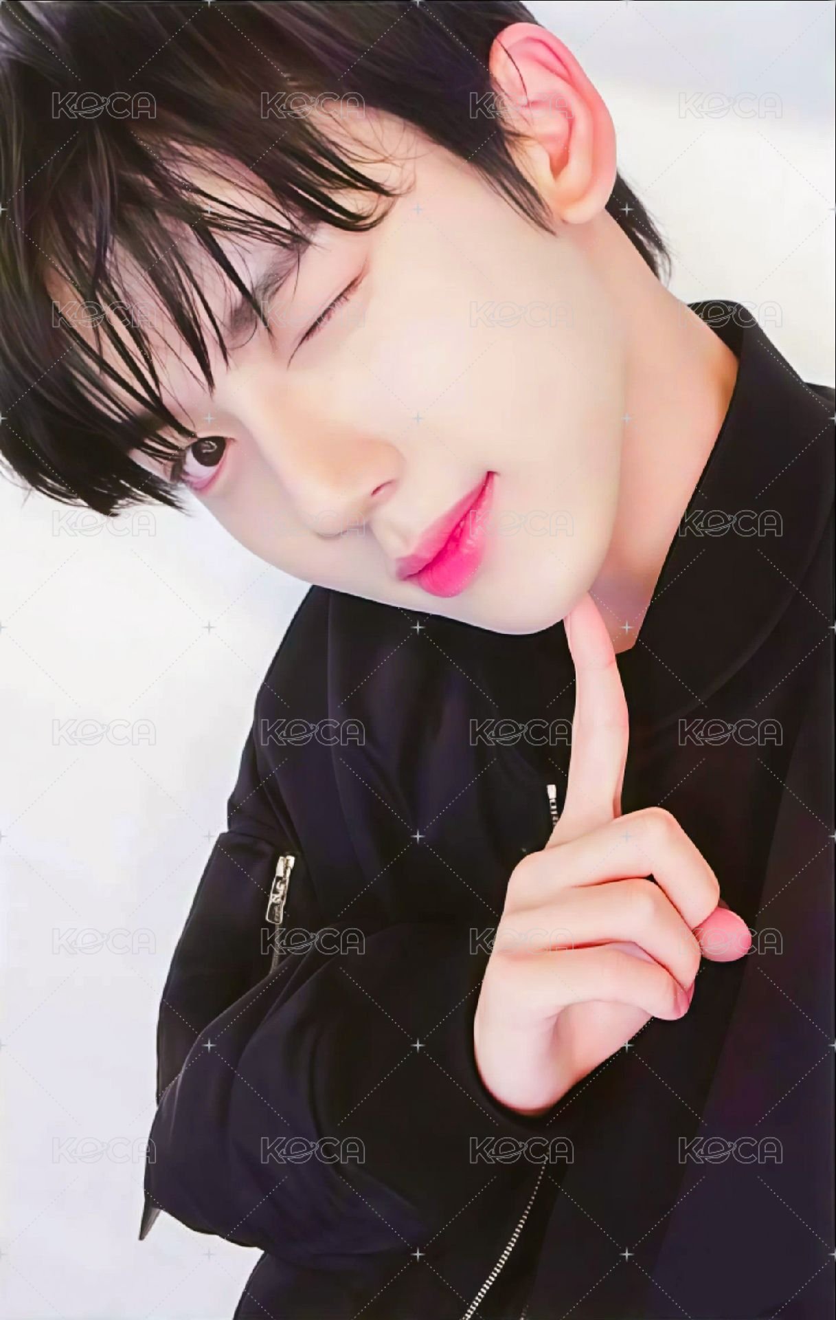 迷二 wm 特典卡 熱狗 ver. 正面