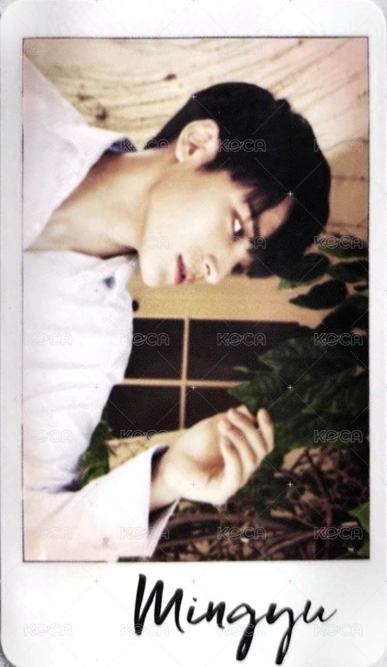 MINI4 專輯卡 ｜ALL 13 ver. 正面