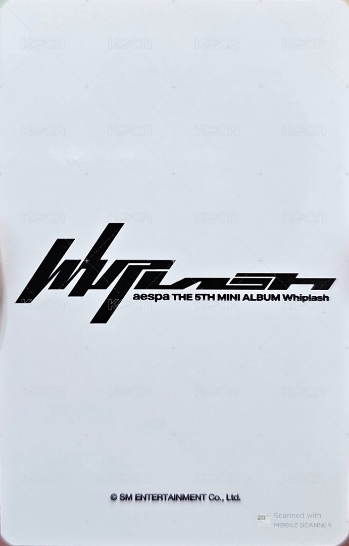 Whiplash 永豐文庫 特典卡 永豐特典寧 背面