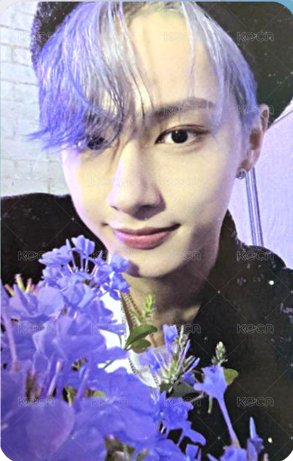 正四後續 yzy 預售 特典卡  正面