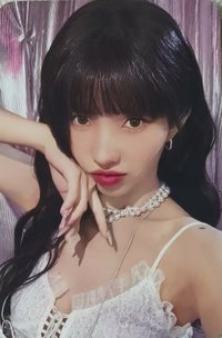 We are k4 幸運卡 dingo