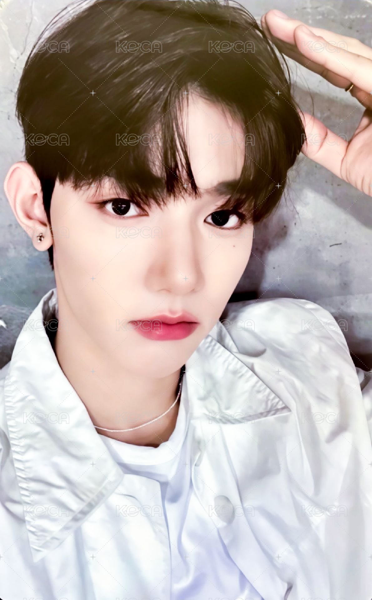 迷一 wm 幸運卡 狗耳 ver. 正面