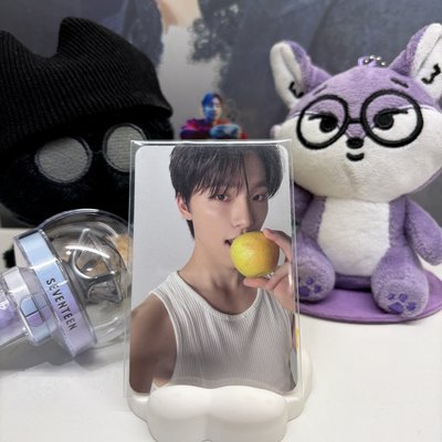 🦦燦DINO｜精選專｜專輯卡｜精選輯｜CARAT ver.｜檸檬燦