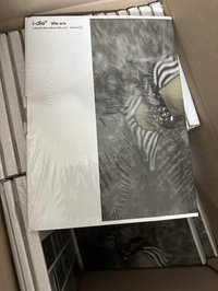 I版（前導預告版）