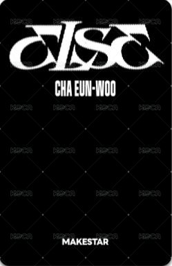 ELSE ms 特典卡  背面