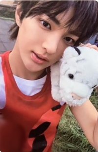 迷一 專輯卡 電子專 B ver.