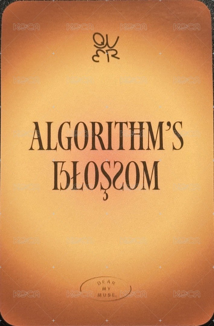 dmm 抽選卡 巧克力棒 塔燕雙人 背面