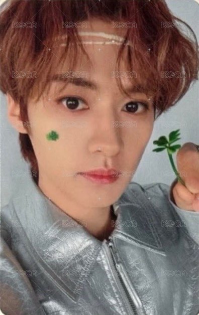 Social Path 專輯卡 通常盤 正面