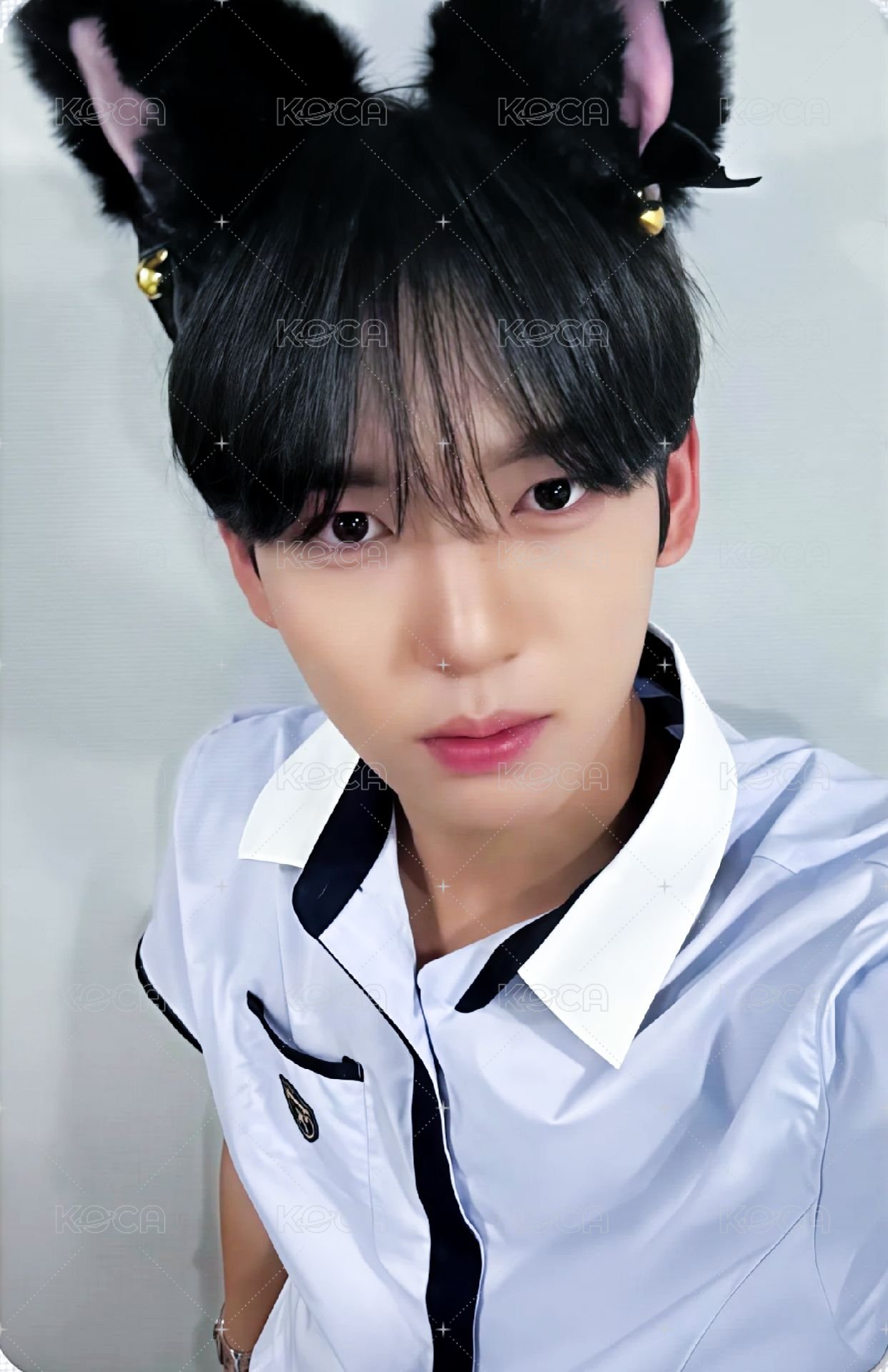 迷一 ms 1.0 特典卡 貓耳 ver. 正面