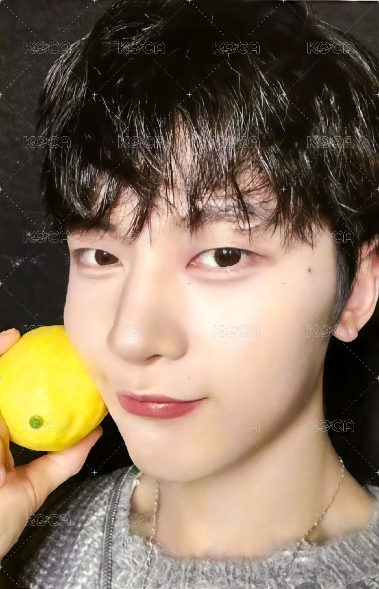 迷四 wm 特典卡 檸檬 ver. 正面