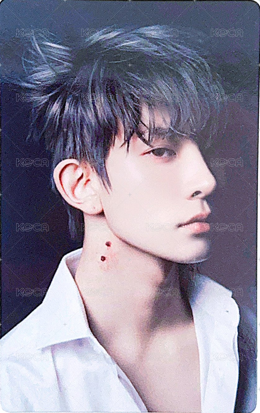 迷四 專輯卡  正面