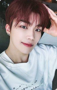 正規一 mnet 特典卡 狗耳 ver.