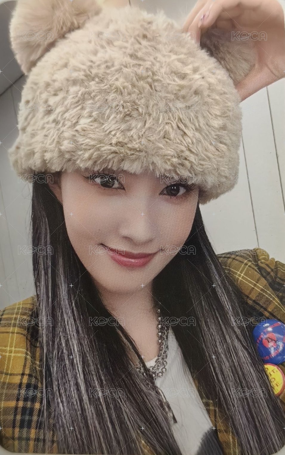 Teddy Bear am 特典卡  正面