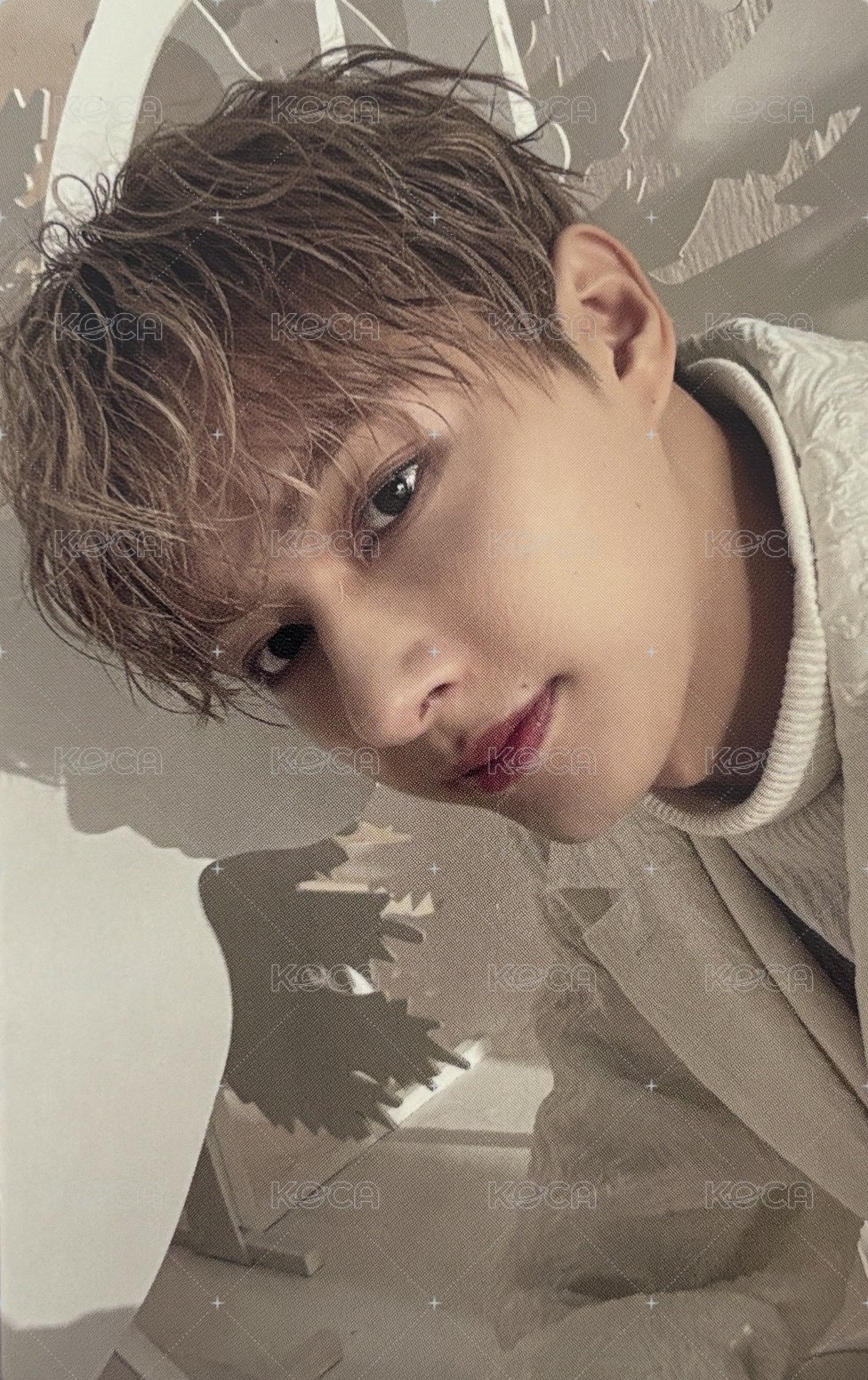 POL 專輯卡 初回限定ver 正面