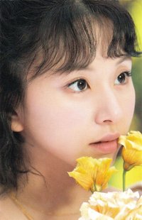 D’FESTA 迷你版 D社 周邊卡 