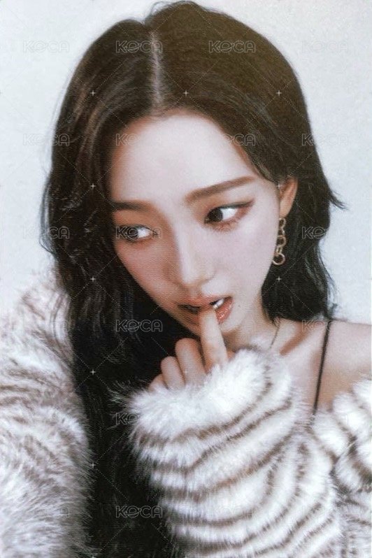 三巡 隨機卡 日巡隨機卡柚 正面