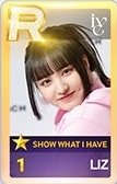 SHOW WHAT I HAVE 遊戲卡 