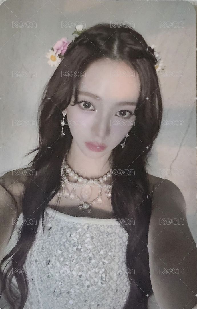 Whiplash sm 特典卡 預售柚 正面