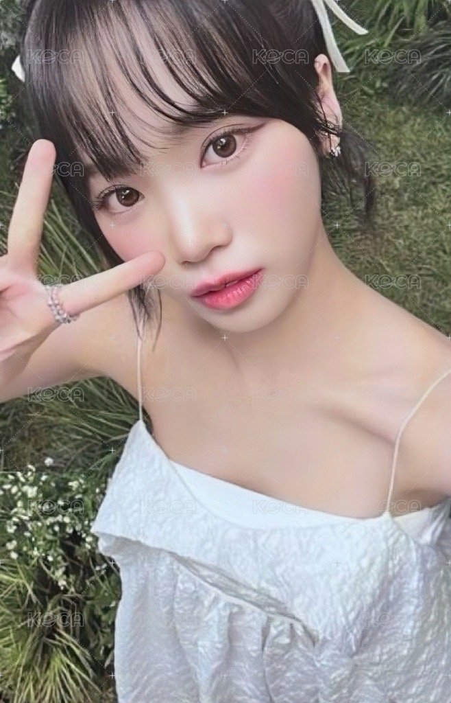 23‘亞巡 演唱會 DVD / CD 卡  正面