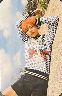 YF 專輯卡 台壓限定 隨機