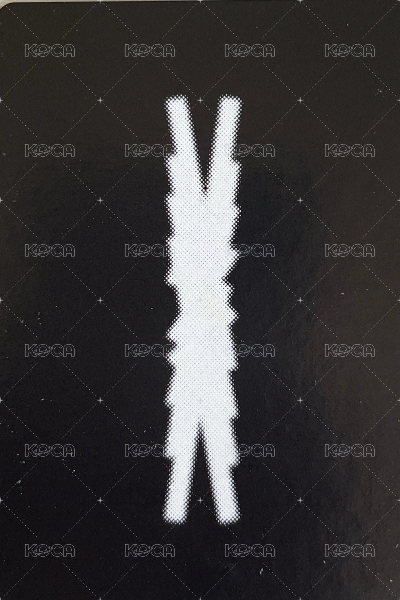 EASY 專輯卡 電子專verB 背面