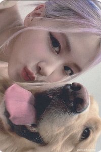 THE ALBUM k4 特典卡 狗狗肉