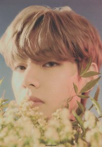 Hybe博物館 周邊卡 小卡組(13/14)