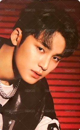 MINI9 日咖 特典卡  正面