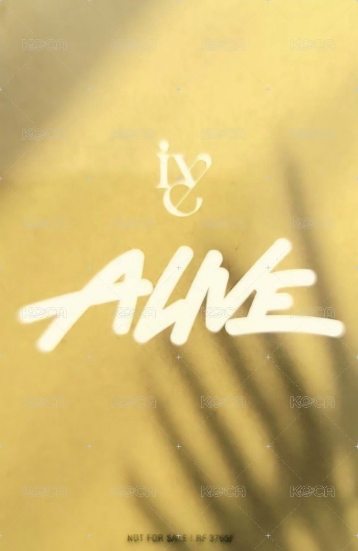 ALIVE 專輯卡 寶可夢限定盤專卡 背面