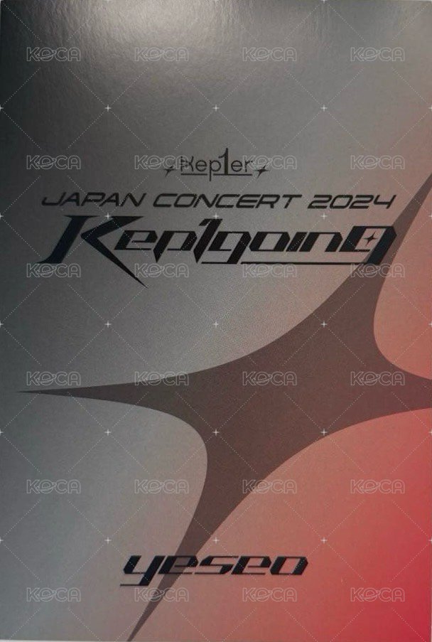 24'日巡 隨機卡  背面