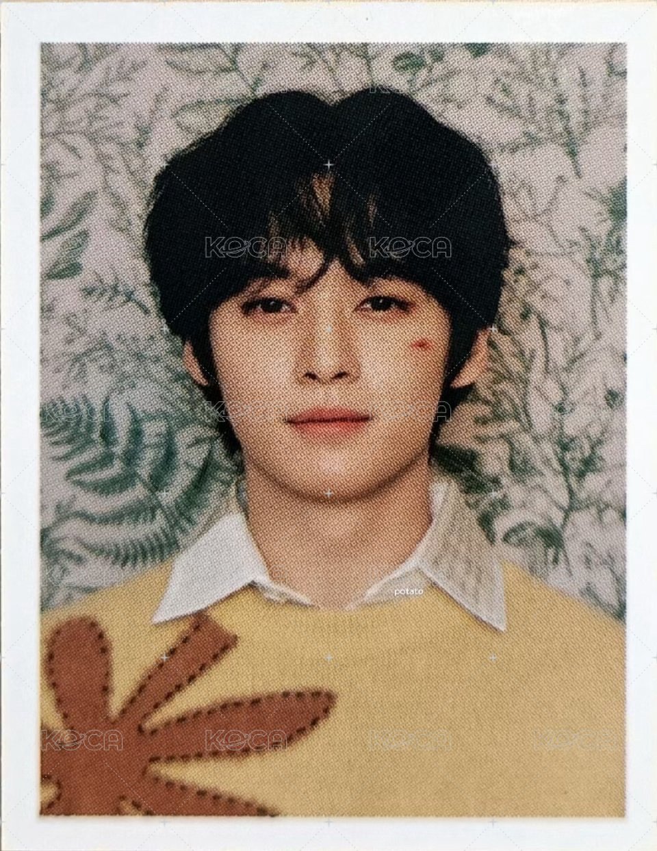 4期會員禮 會員禮卡 證件照 正面