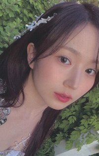 仲夏夜 sw 預售 特典卡 