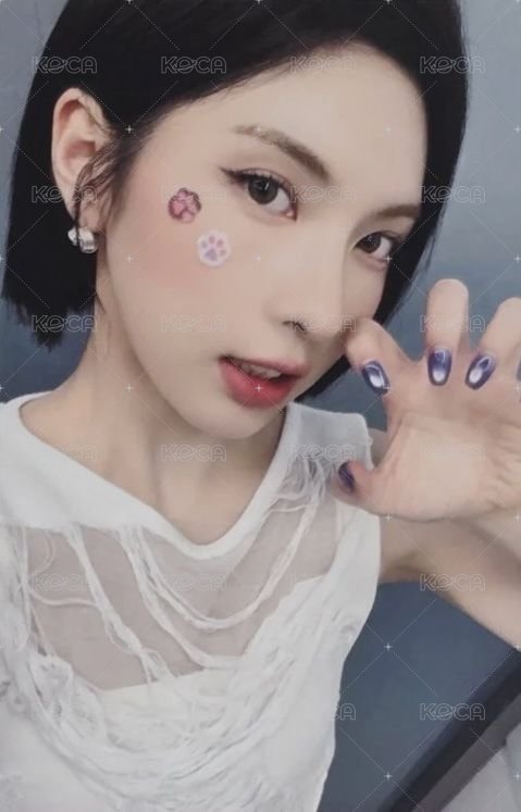 正規一 ms 線下 3.0 簽售卡 貓貼片 ver. 正面