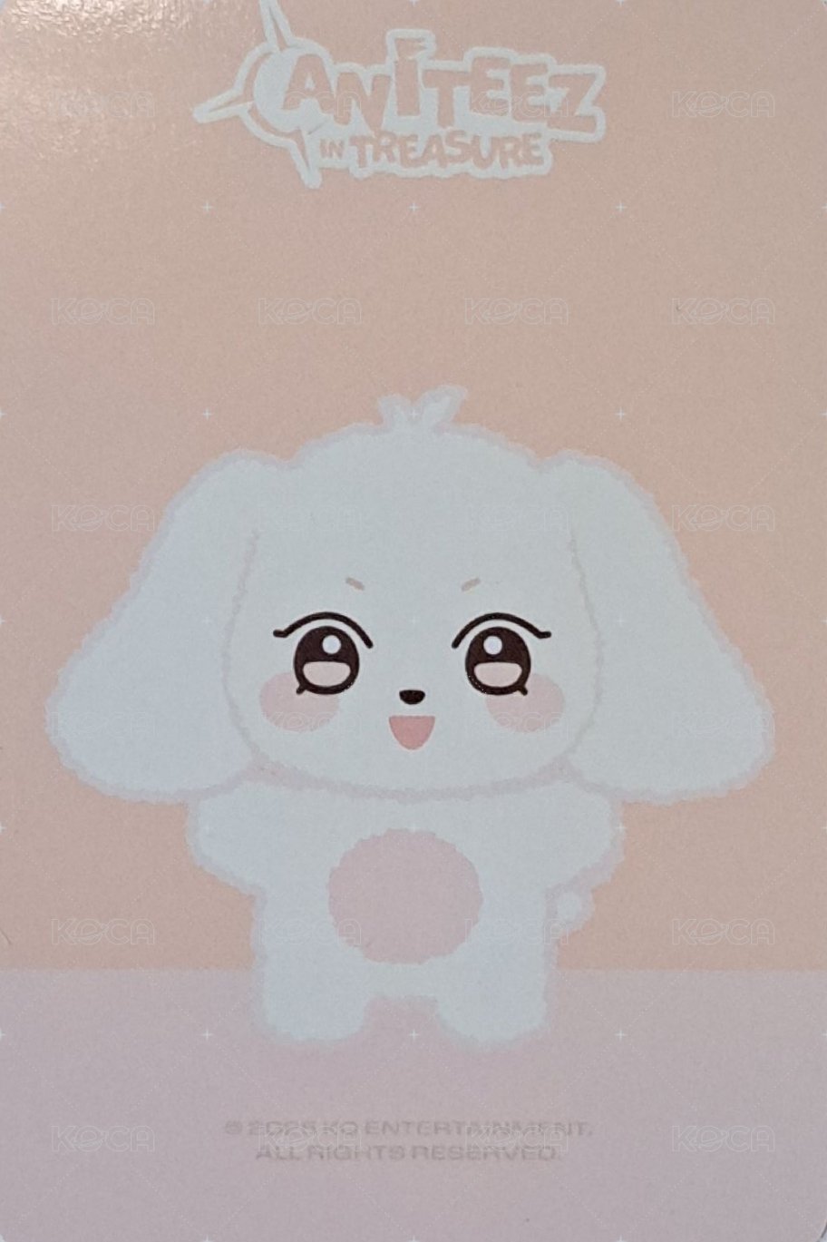 ANITEEZ IN TREASURE 周邊卡 MINI PLUSH 背面
