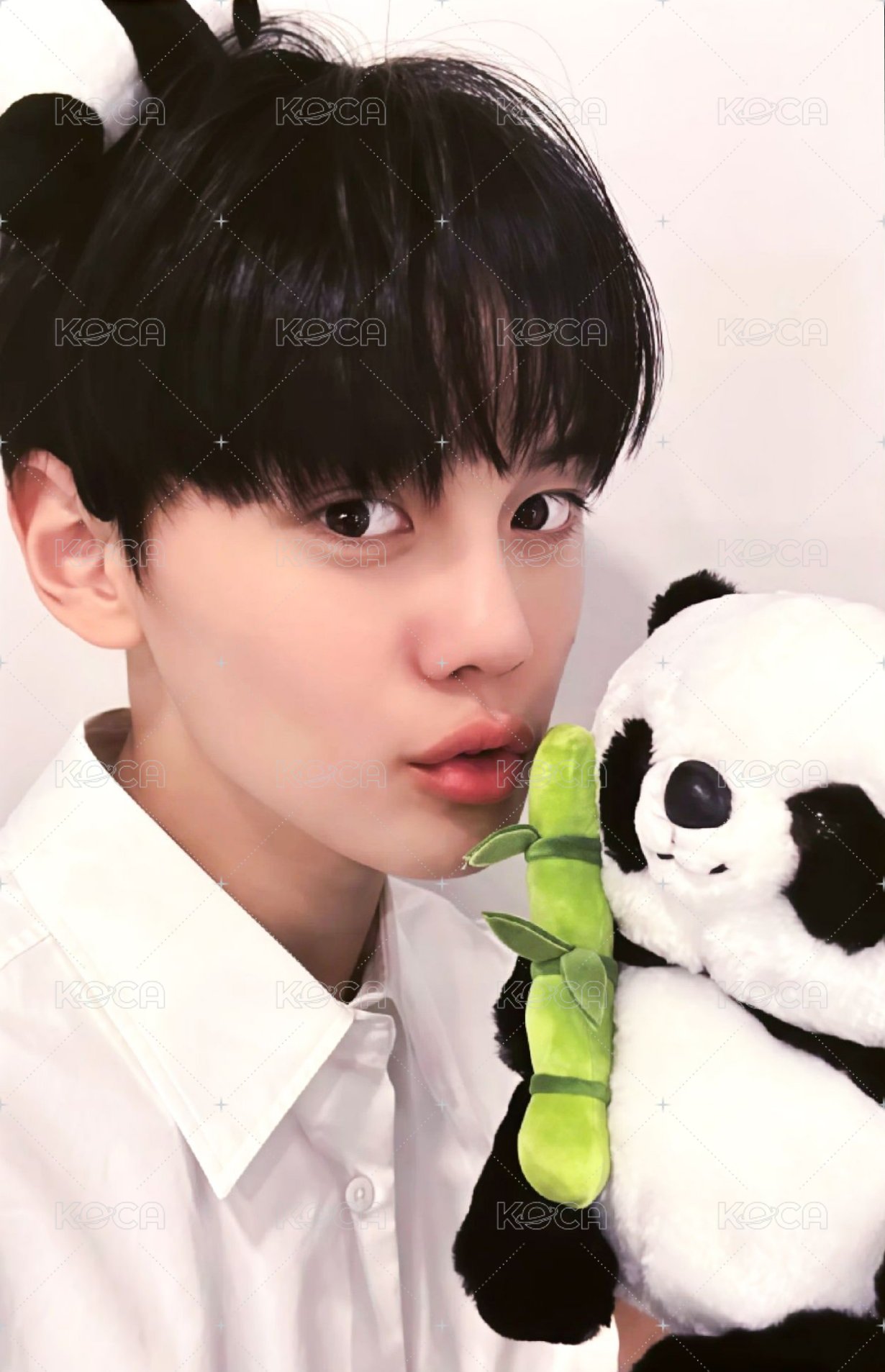 迷三 am 特典卡 熊貓 ver. 正面