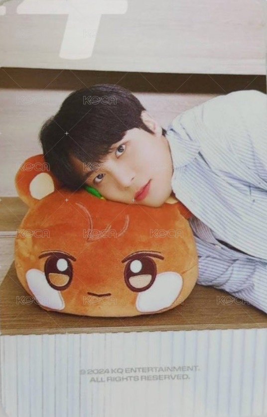 ANITEEZ IN ICE CITY 周邊卡 plush cushion 背面