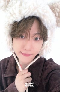 bolo5 el 試聽會2.0 簽售卡 泰迪熊ver.B