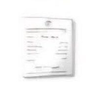 成員自製 鑰匙圈吊飾 知秀快閃吊飾