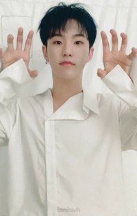 24H 專輯卡 CARAT ver. 雙虎爪榮