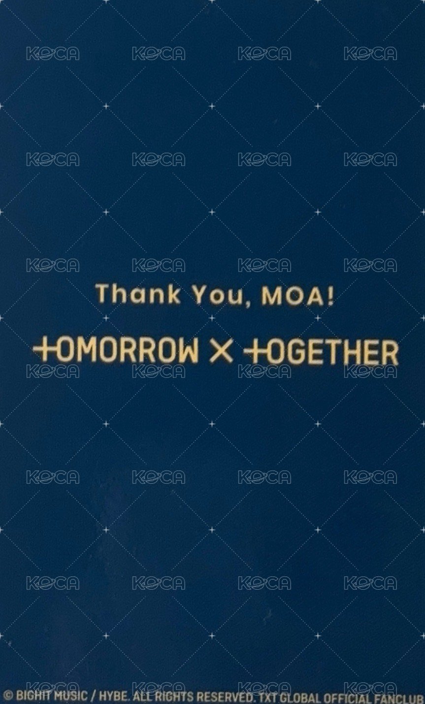 三期會員 抽選卡 22日咖問卷 貓耳顯 背面