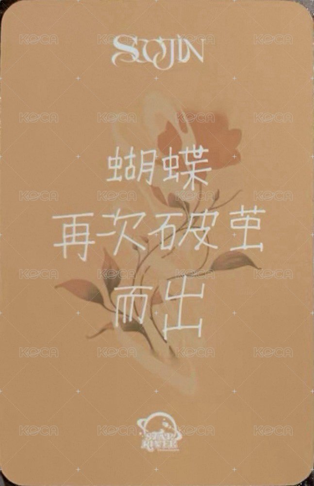 AGASSY sr 1.0 特典卡 熊貓珍 背面