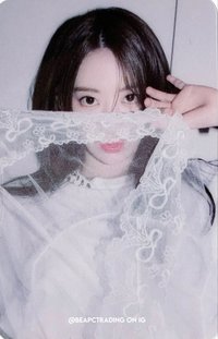 ANTIFRAGILE k4 預售 特典卡 透卡
