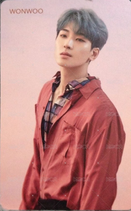 落花 hmv 特典卡  正面