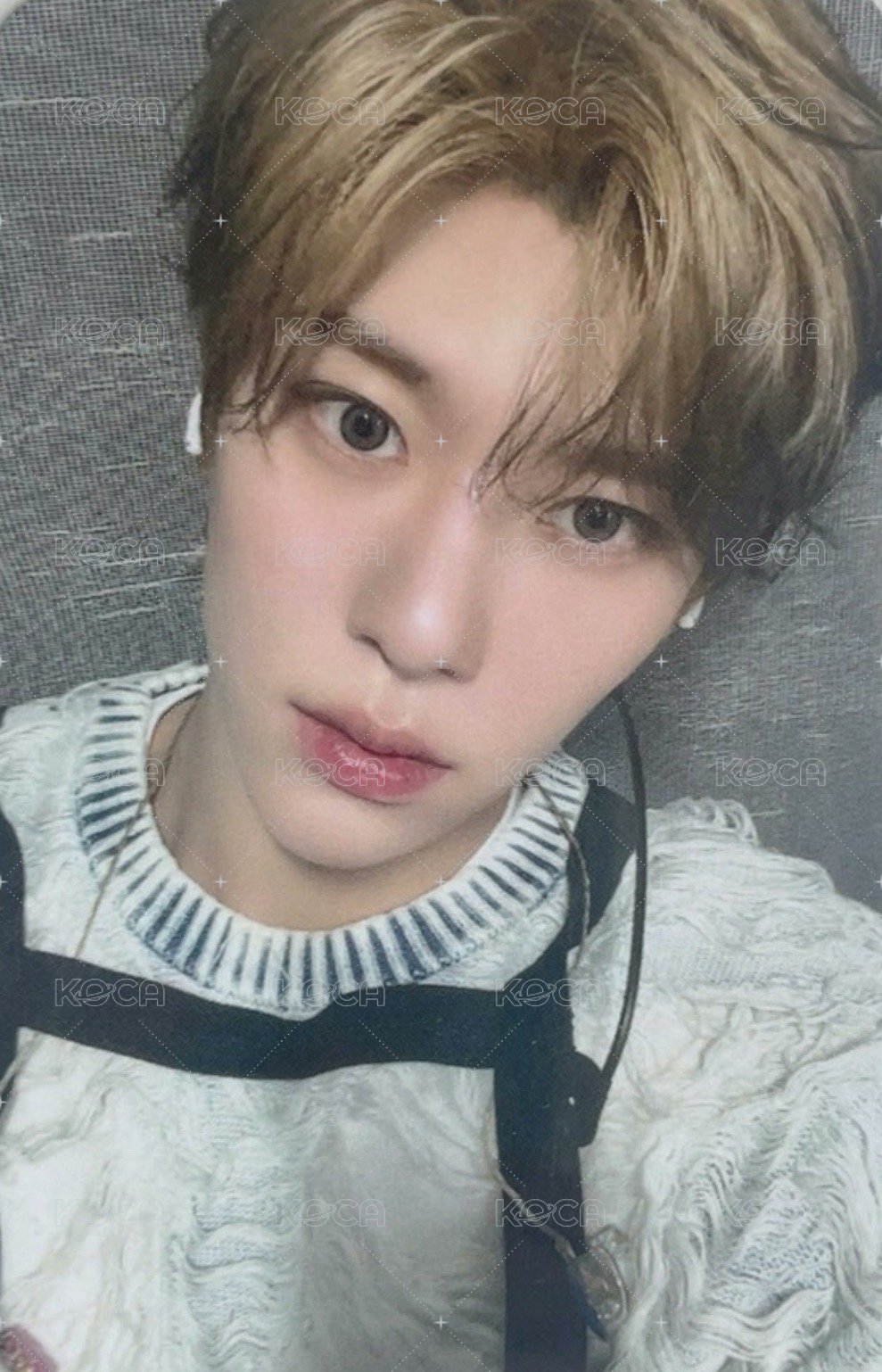 Songbird am 線下1.0 簽售卡  正面